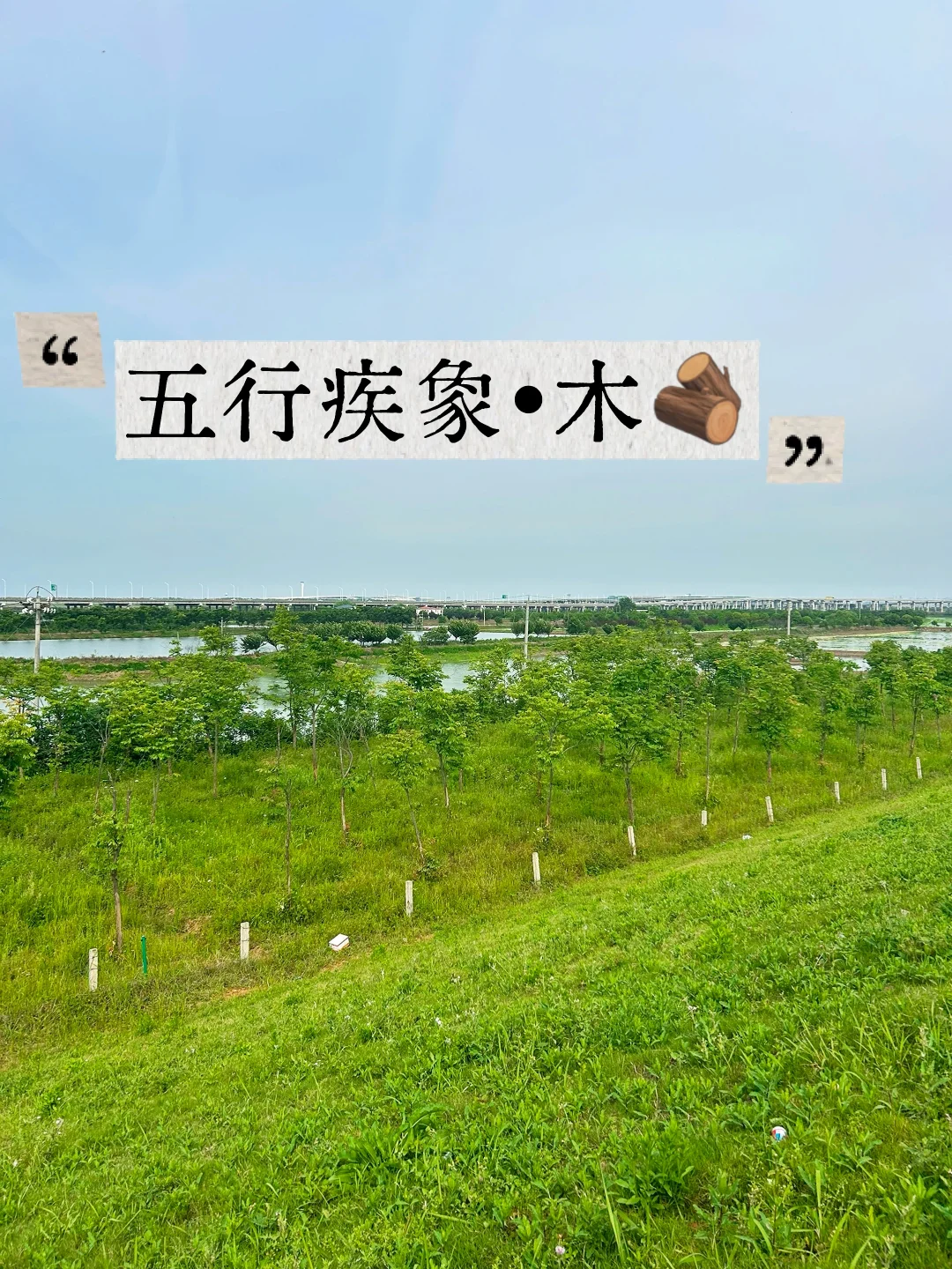 🪵木[种草R] 1、甲木遇火多，多犯神经之疾。 2、日干为甲木，流年...