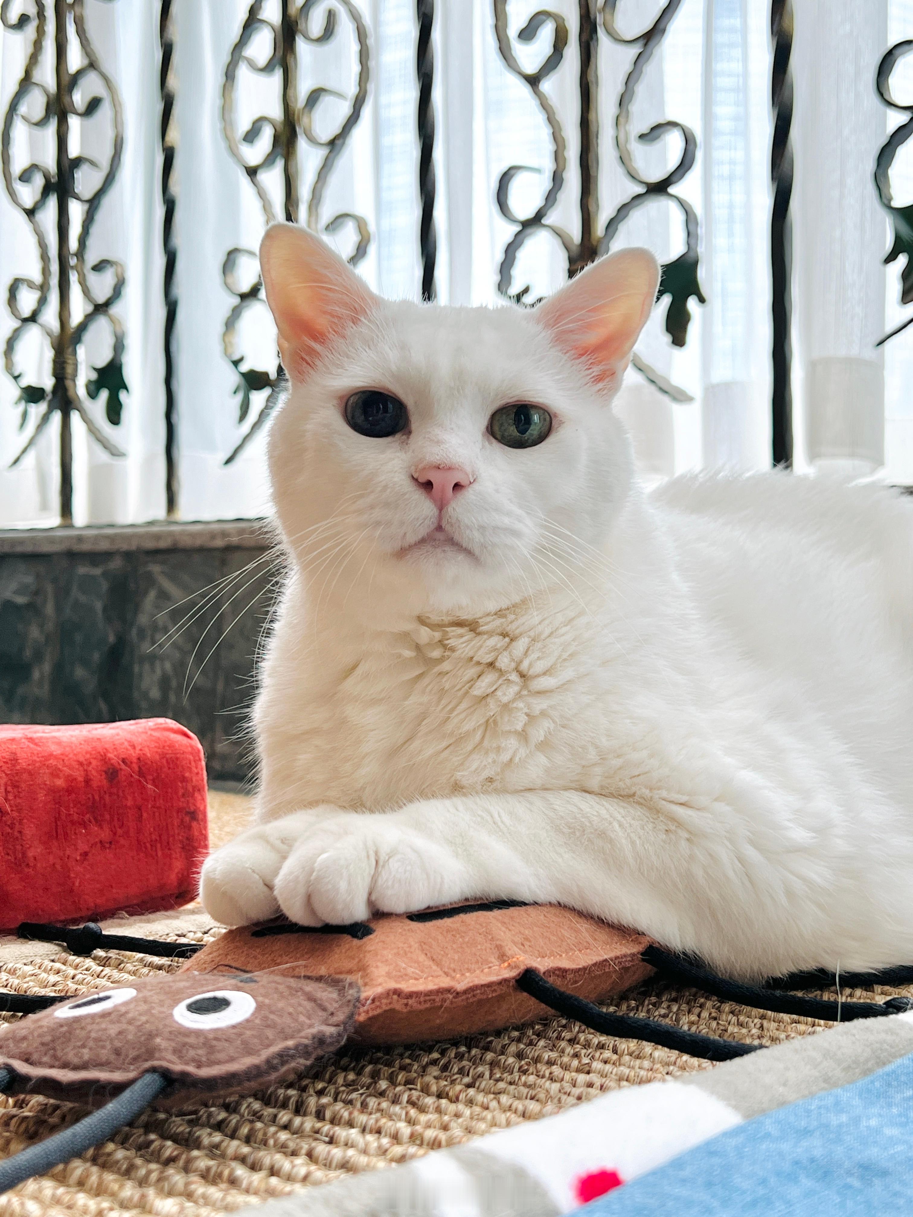 吸一口寶寶，身心愉快 🪴 ​​​