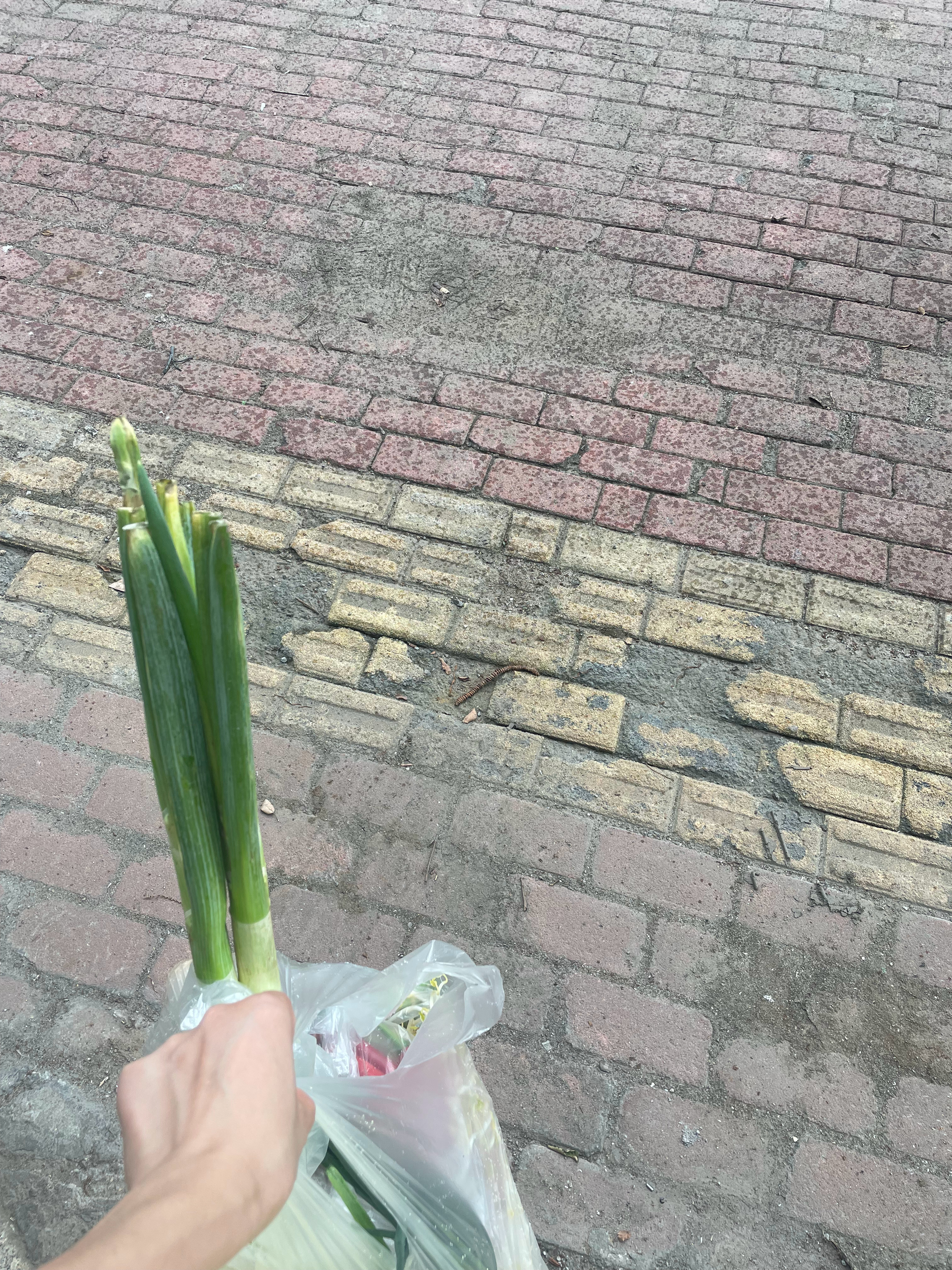 什么运气，刚买好菜就下大了 ​​​