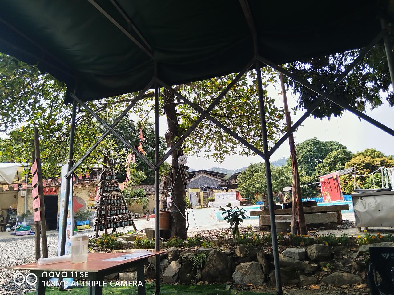 农家乐接近大自然，有菜有羊，有活动，虽说四季如春，今天到还真的有点春天的意思了