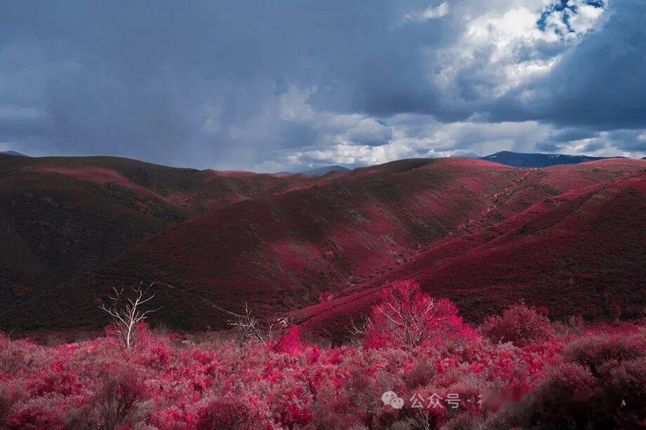 红外风光 
摄影师：Al Mefer