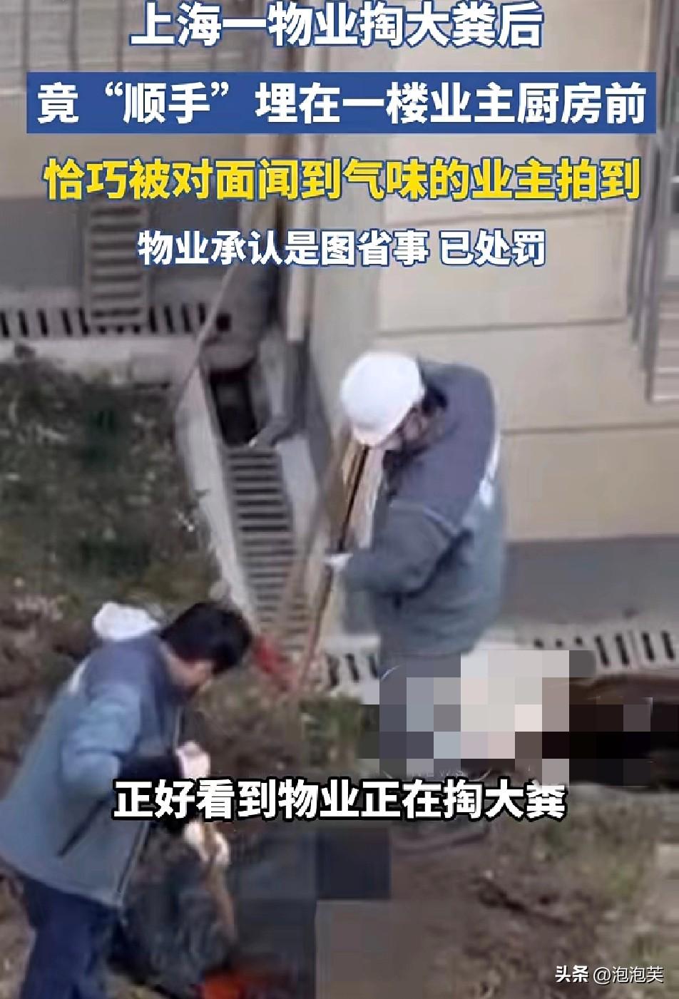 离谱！

物业掏大粪竟埋业主厨房上海一小区物业处理大粪时

为图省事，竟把粪污埋