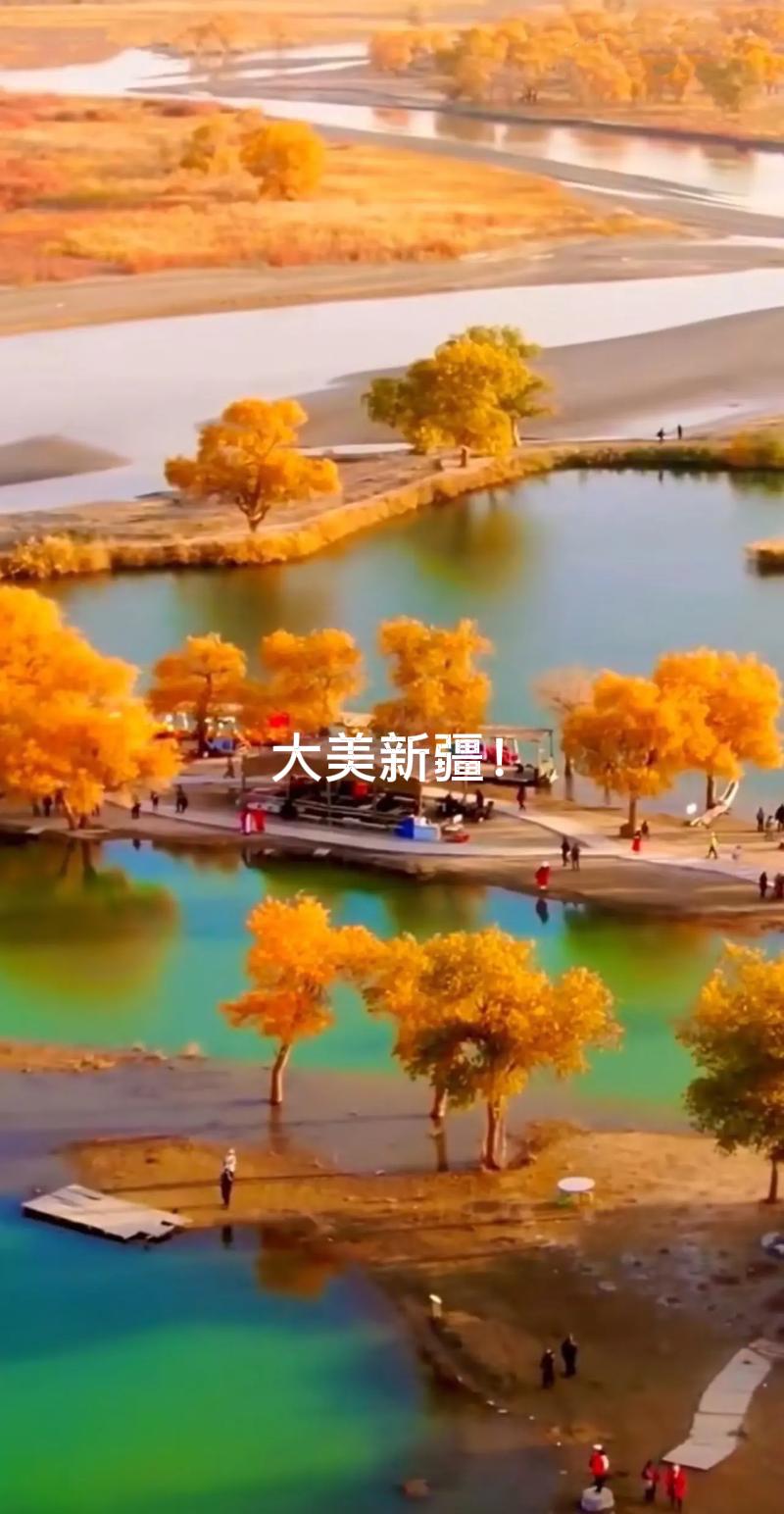 【新疆为何被称“第二个深圳”？数据会说话】

“新疆是第二个深圳，潜力甚至更大”
