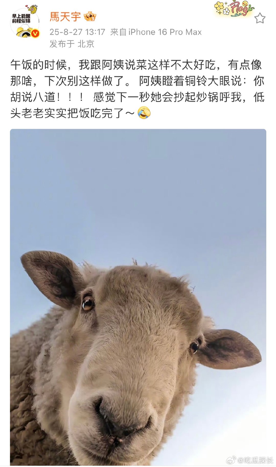 马天宇低头老老实实把饭吃完了传下去马天宇被阿姨训了 马天宇说阿姨做菜别这样，最后