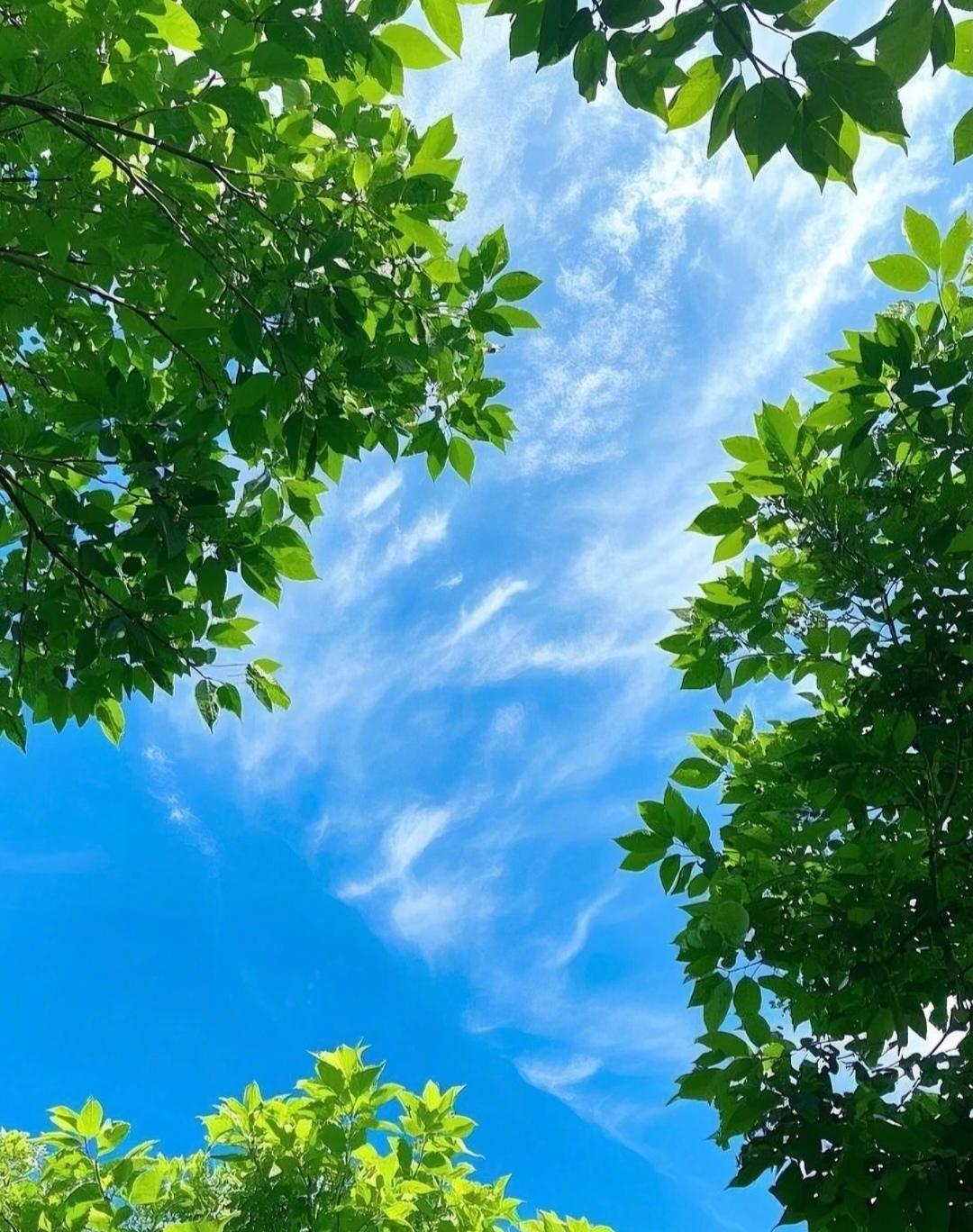 我发现小孩的生物钟跟大人的生物钟是一样的。

要上学的时候吧，怎么叫都不愿意起来