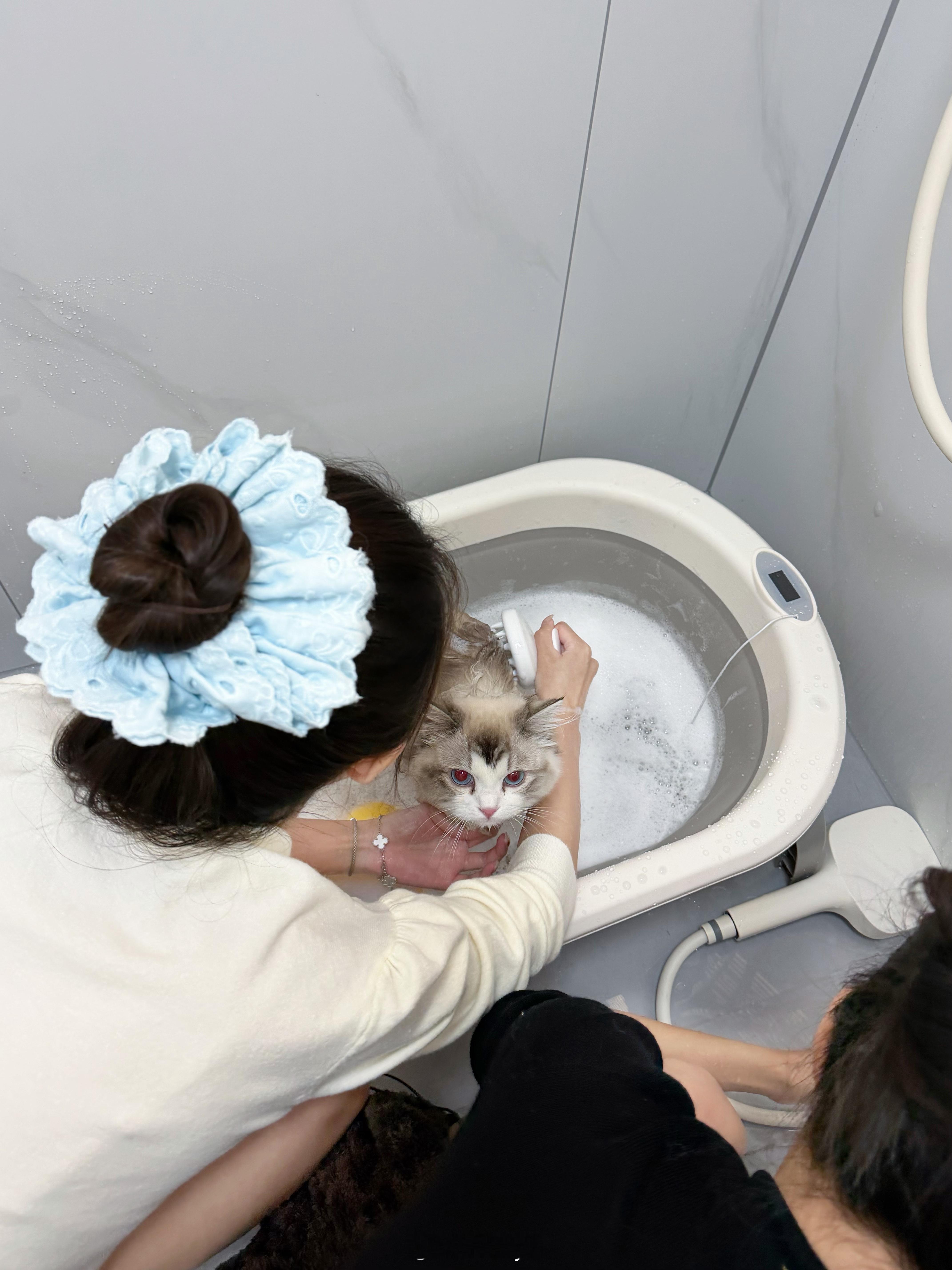 好乖好乖的汉堡 洗澡就叫了两声！！！ 