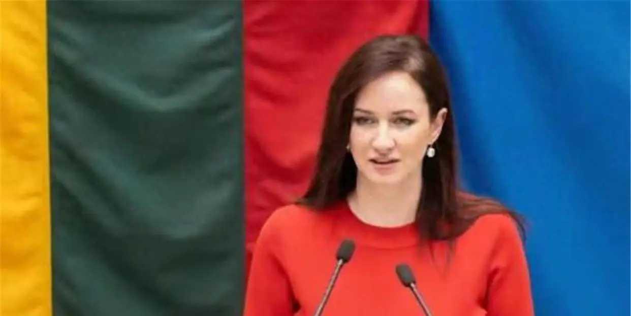 彻底认栽！立陶宛新政府对华180度转向，5年闹剧终收场🔥
 
国际政坛上演现实