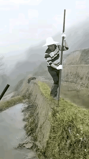 不明白他们的活儿为什么要这么干？有这层长满草的护坡，对这个梯田应该更有好处，更能