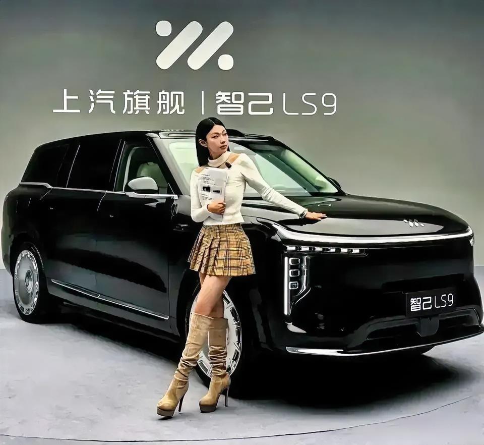 这就是赤裸裸的现实，家庭购车以经济实用为主，这是大部分家庭购车趋势
   1： 