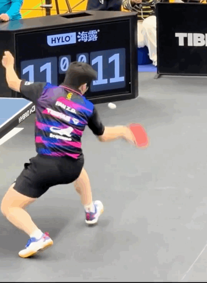 樊振东 腿上都是力量，膝下都是汗水