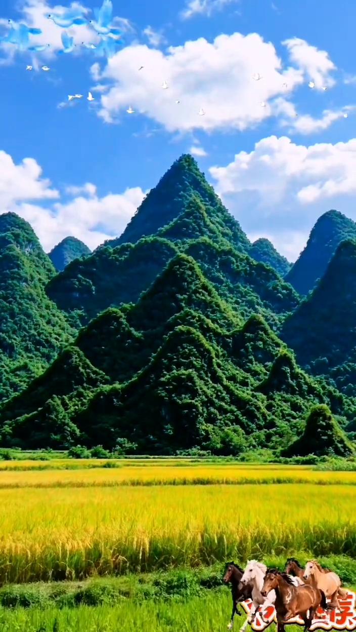 特朝山风景如画。
工部尚书。