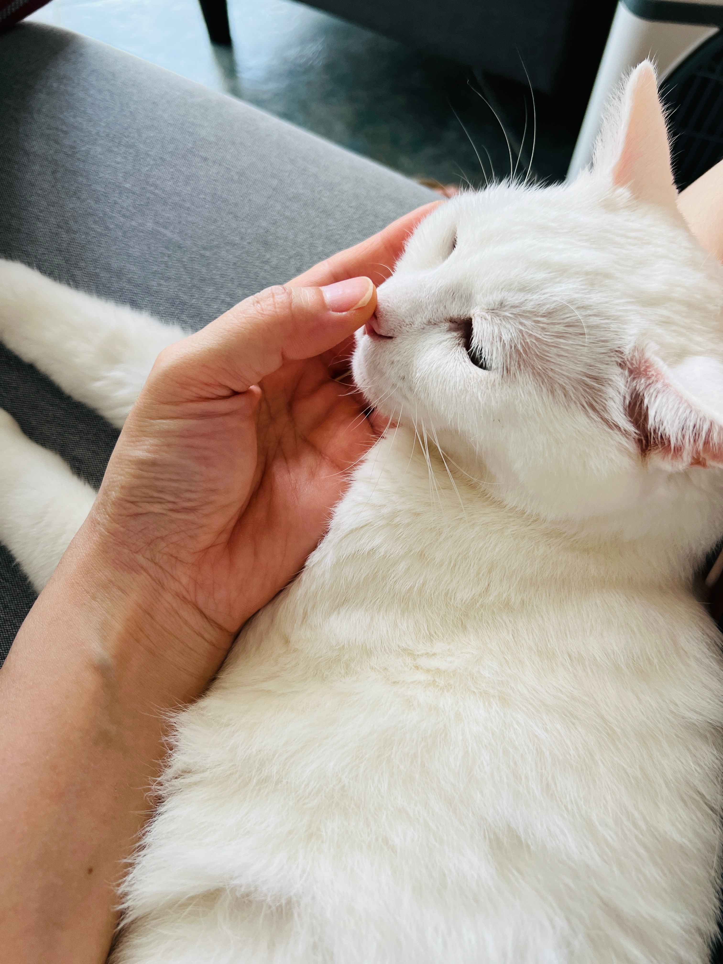 My老寶🥰🥰🥰 ​​​