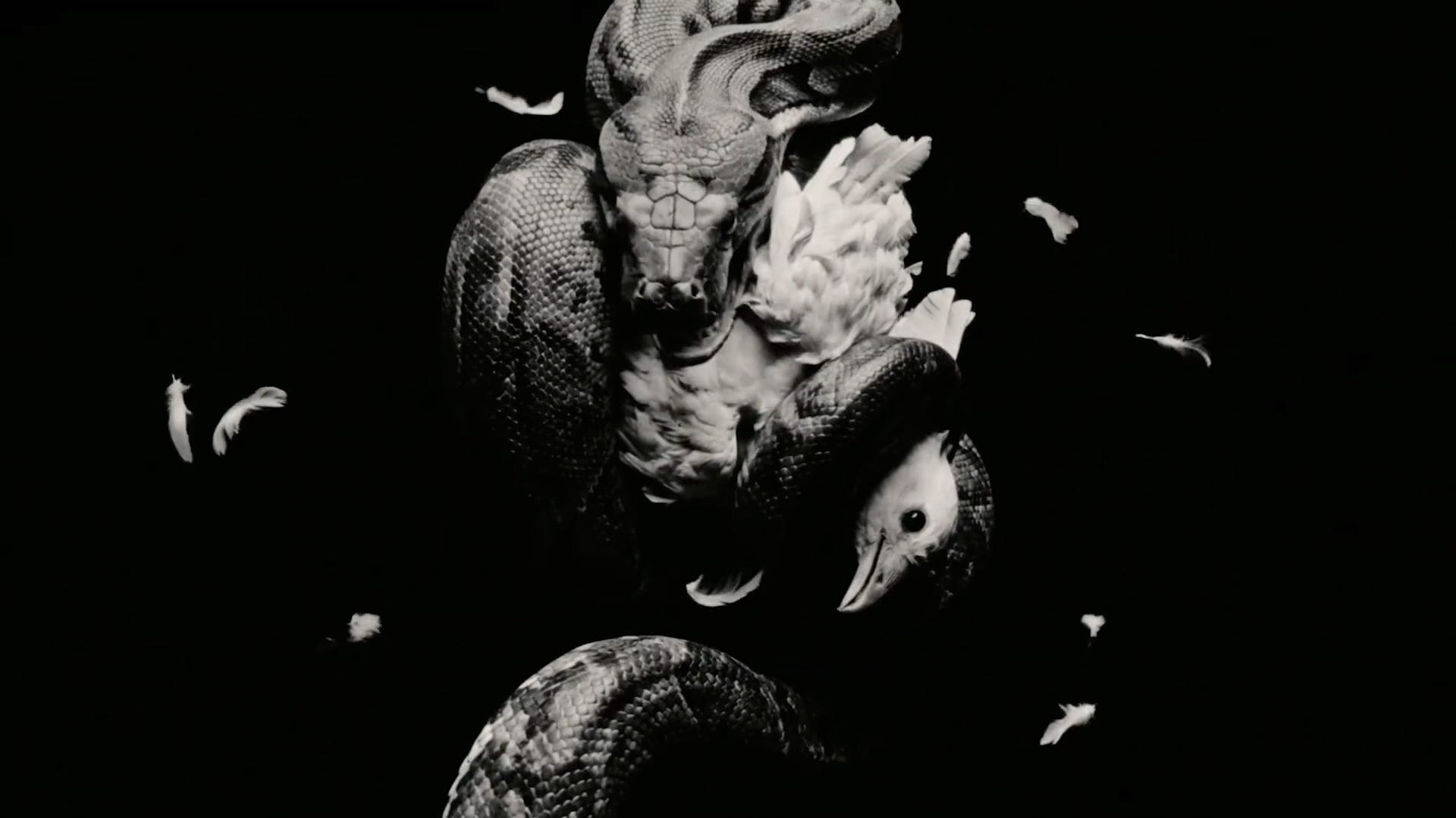 老公我害怕、、腾讯音乐由你榜 FLYFLY-时代少年团-严浩翔严浩翔FLY