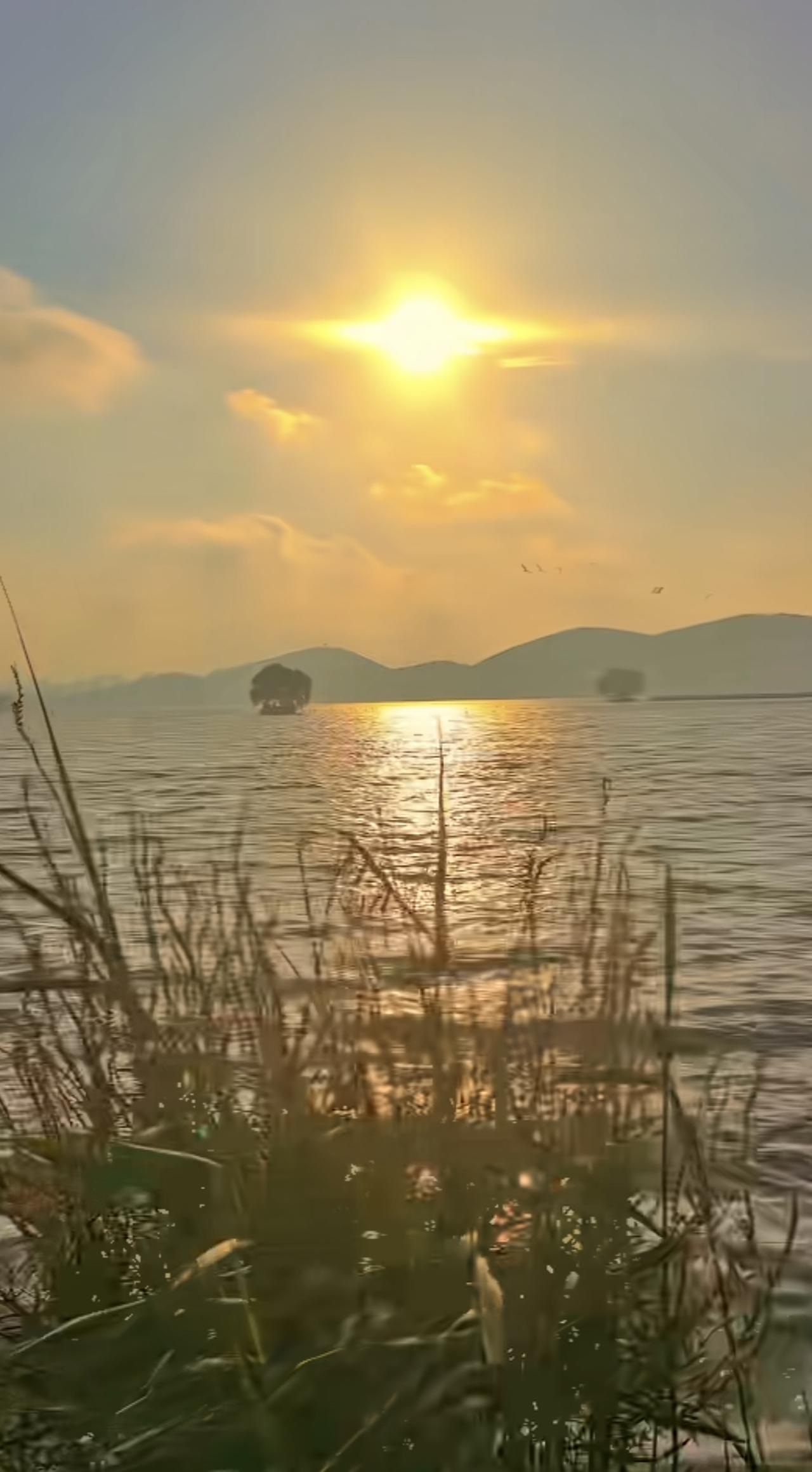 老百姓选择善良，为了活得踏实。

是的，不是为了交易，不是为了回报，也不求什么福