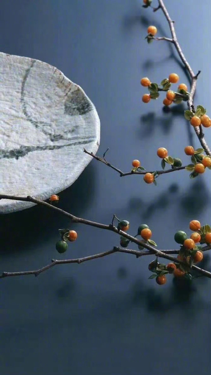 行事不可任心，说话不可任口。—— 曾国藩 