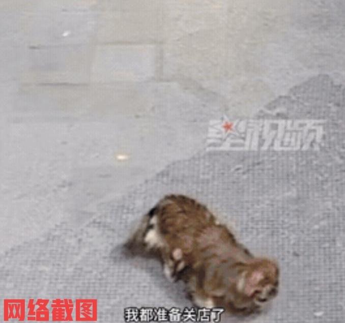 陕西西安有家麻辣烫老板。

由于生意清淡没有什么客人就准备打烊休息了，但看到店门