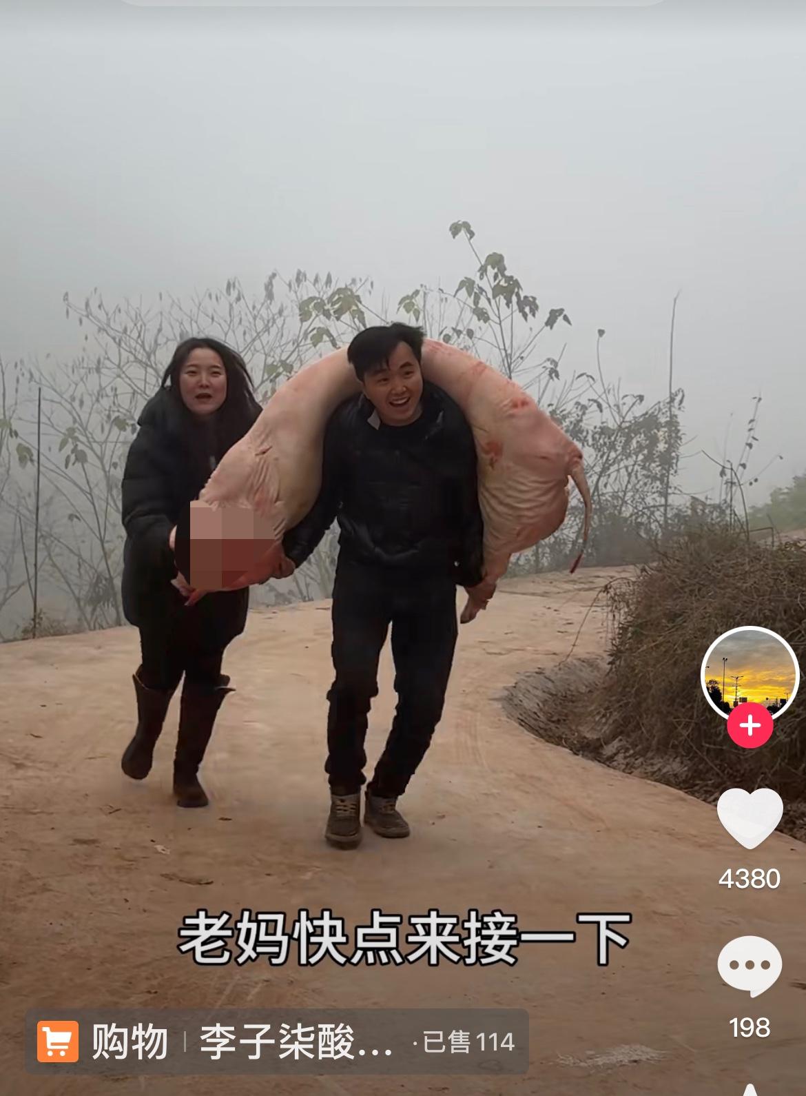 徐三娃真不错，给丈母娘扛了半扇猪肉，做香肠腊肉！

昨天，农村四哥家刨猪汤，小英