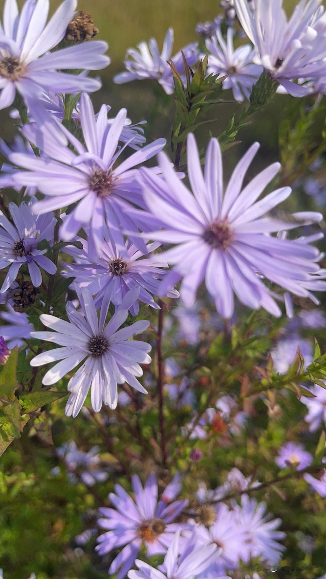 天气还是热了，上午穿的衣服厚，逛超市的时候，就热出汗了……这是春天里第一次出汗，