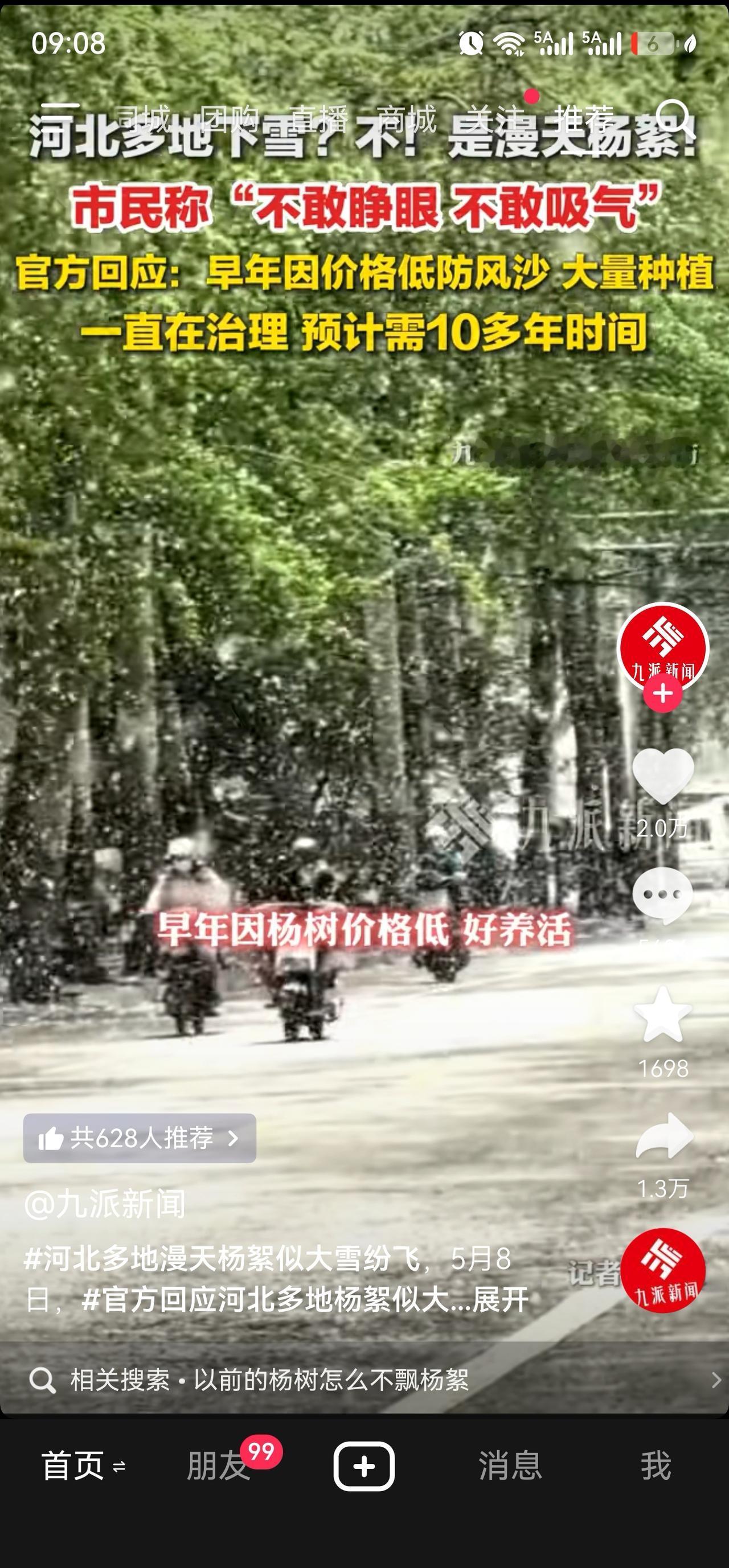 河北多地下“雪了”，只是这个是杨絮！而且这吸进鼻子，会让你很难受，有鼻炎的就更别