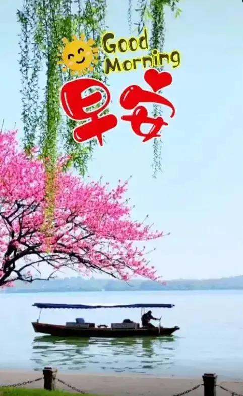 早上好，愿大家不负韶华，共创美好[锦鲤到来][锦鲤到来][锦鲤到来]