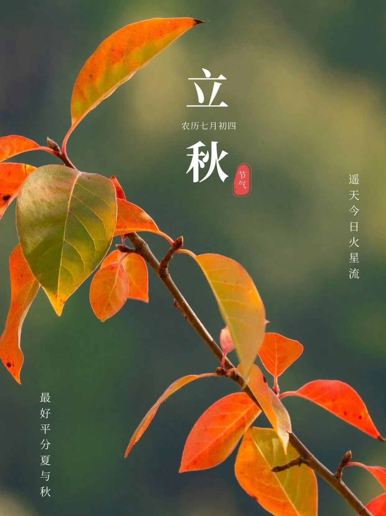 生活手记夏的余温还在指尖发烫，秋已偷偷把信写在了落叶上。愿风带走燥热，把未完的故