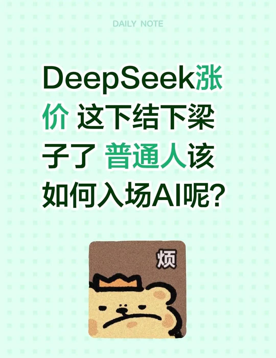 DeepSeek涨价 这下结下梁子了 普通人该如何入场AI呢？deepseek 