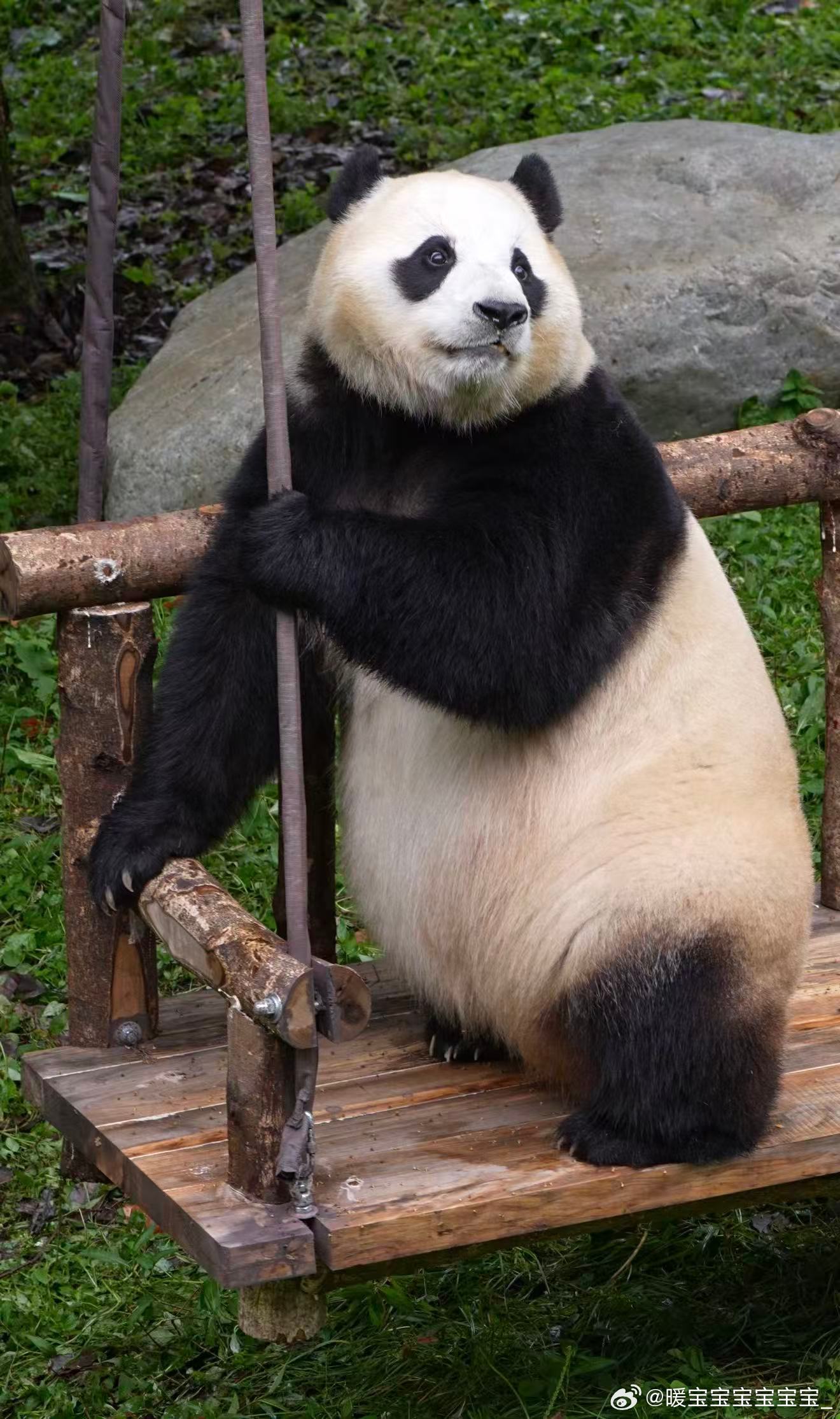 每天早起打卡早～ 