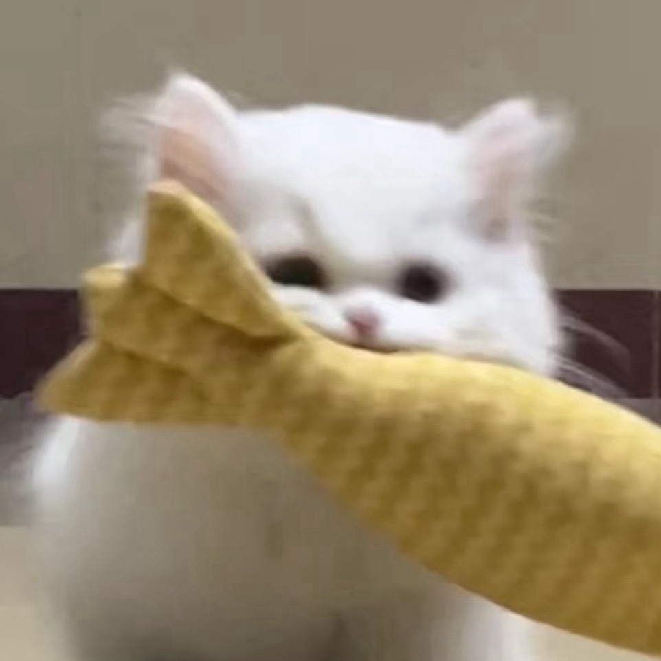 棣棣是小猫 用力咬东西的时候小脸鼓起嘴努子变成⩊ 