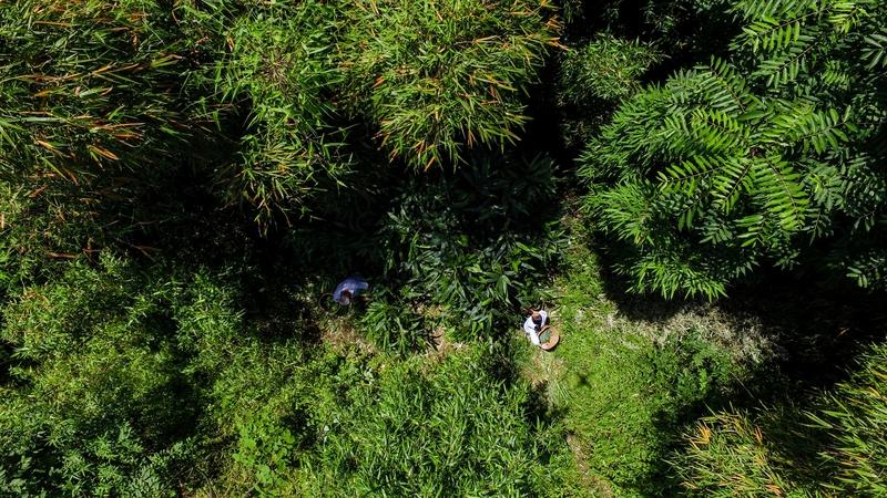 浙江杭州的叶大爷可真是被“奇葩养生法”给坑惨了。他在大家眼里是个“养生达人”，生