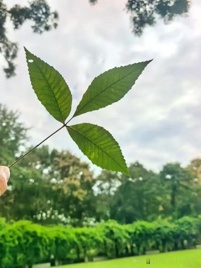 📌 今日思考｜别让孩子在“穷圈子”里内卷，换个位置可能比刷题更管用

万维钢老