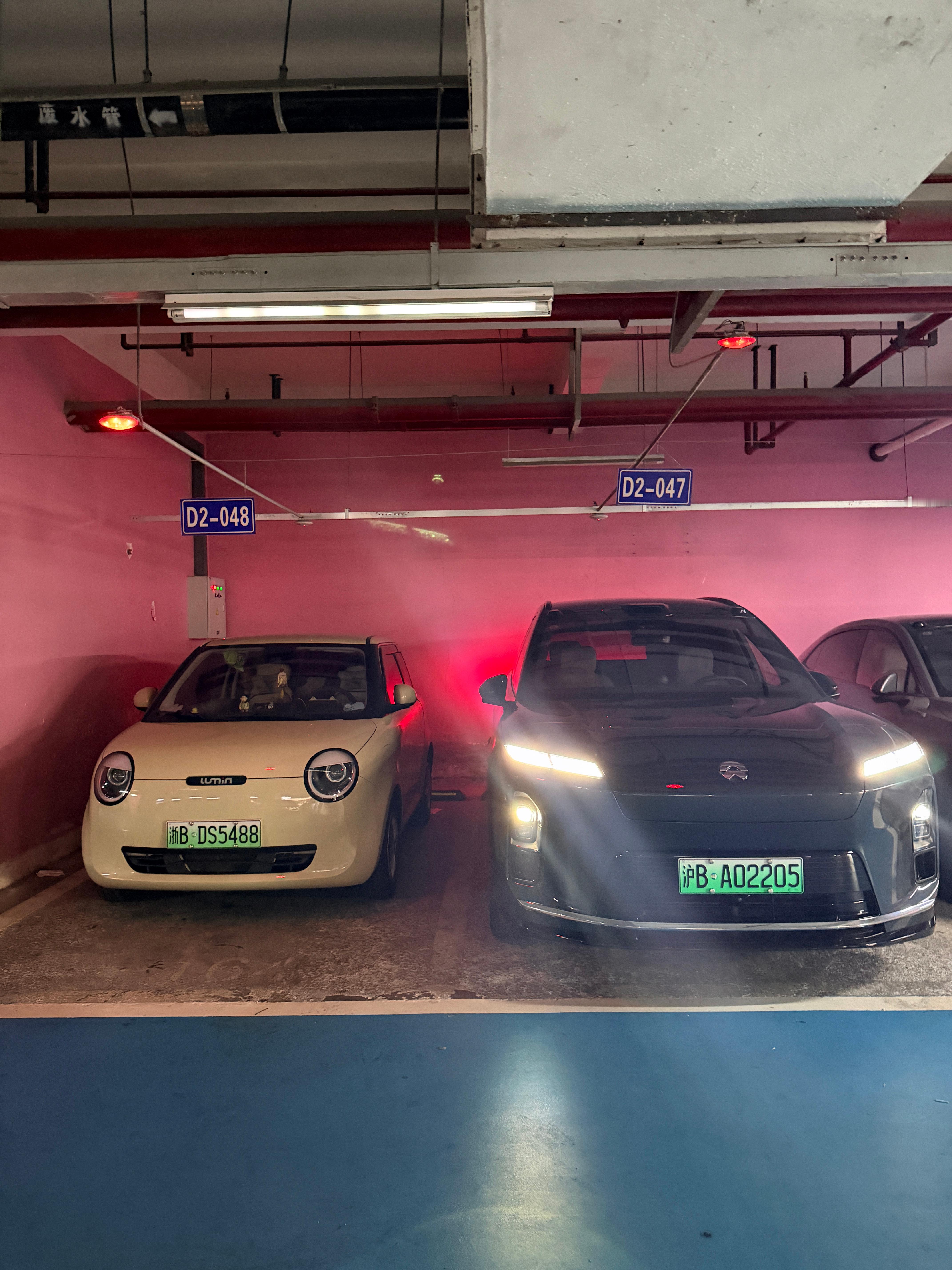 糯玉米完全不输