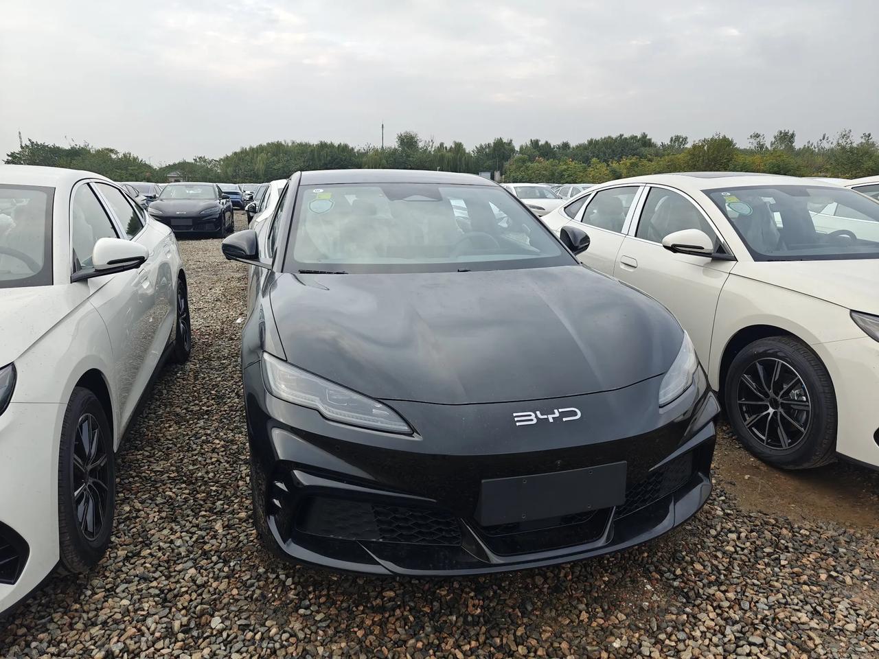 我宣布海豹 06GT 是比亚迪二十万以内最帅的车🤙
