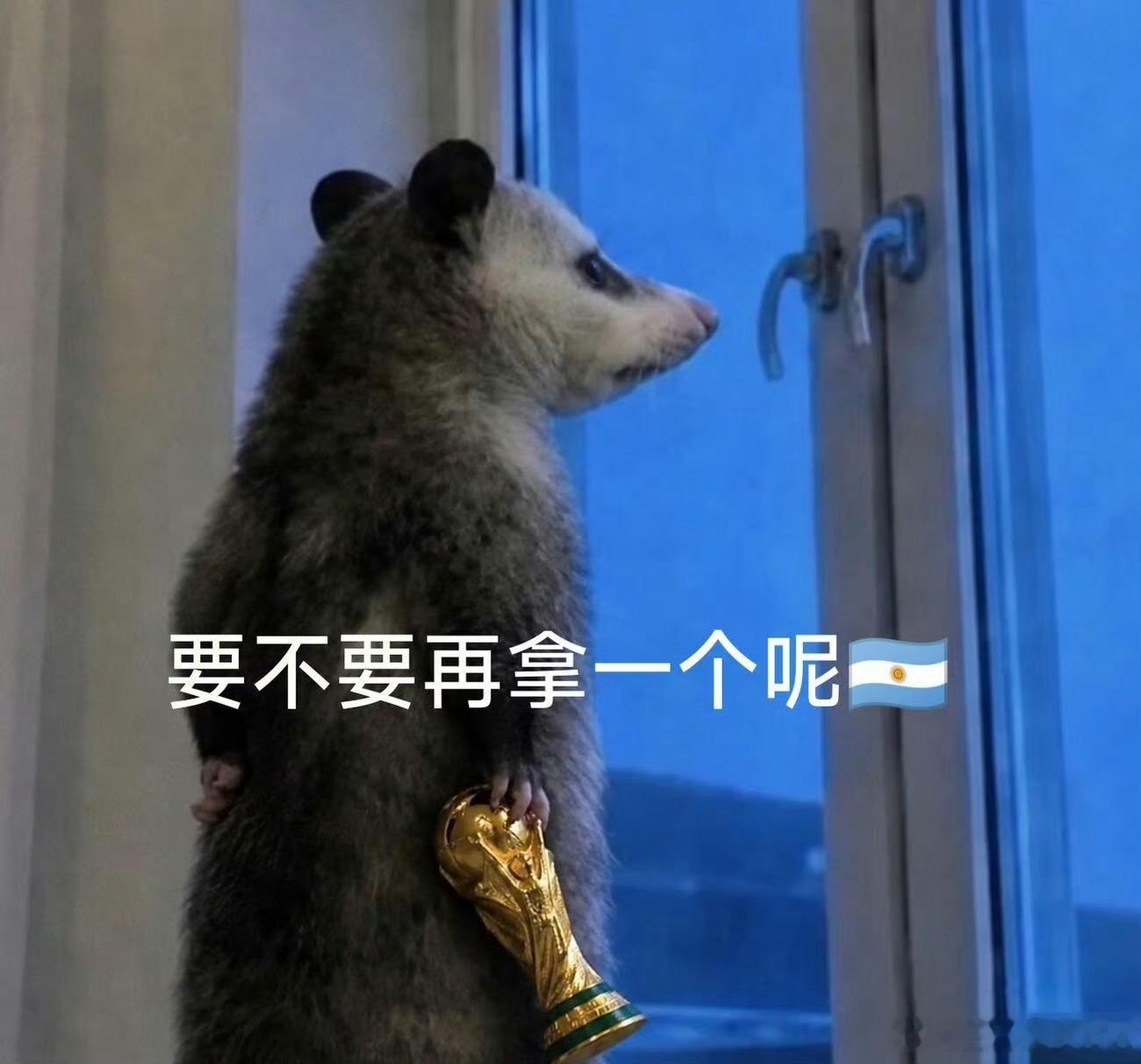 阿根廷球迷又进入阿迷托佛状态别人赛后复盘战术，阿迷赛后研究拜佛攻略，独特的解压方