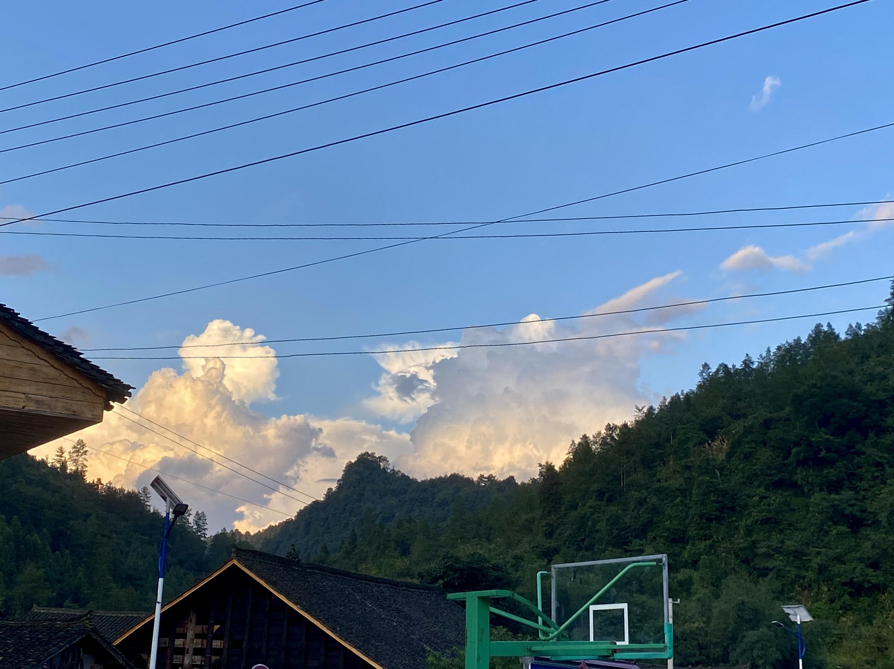 见花，见树，爱细小的具体，也爱盛大的无垠