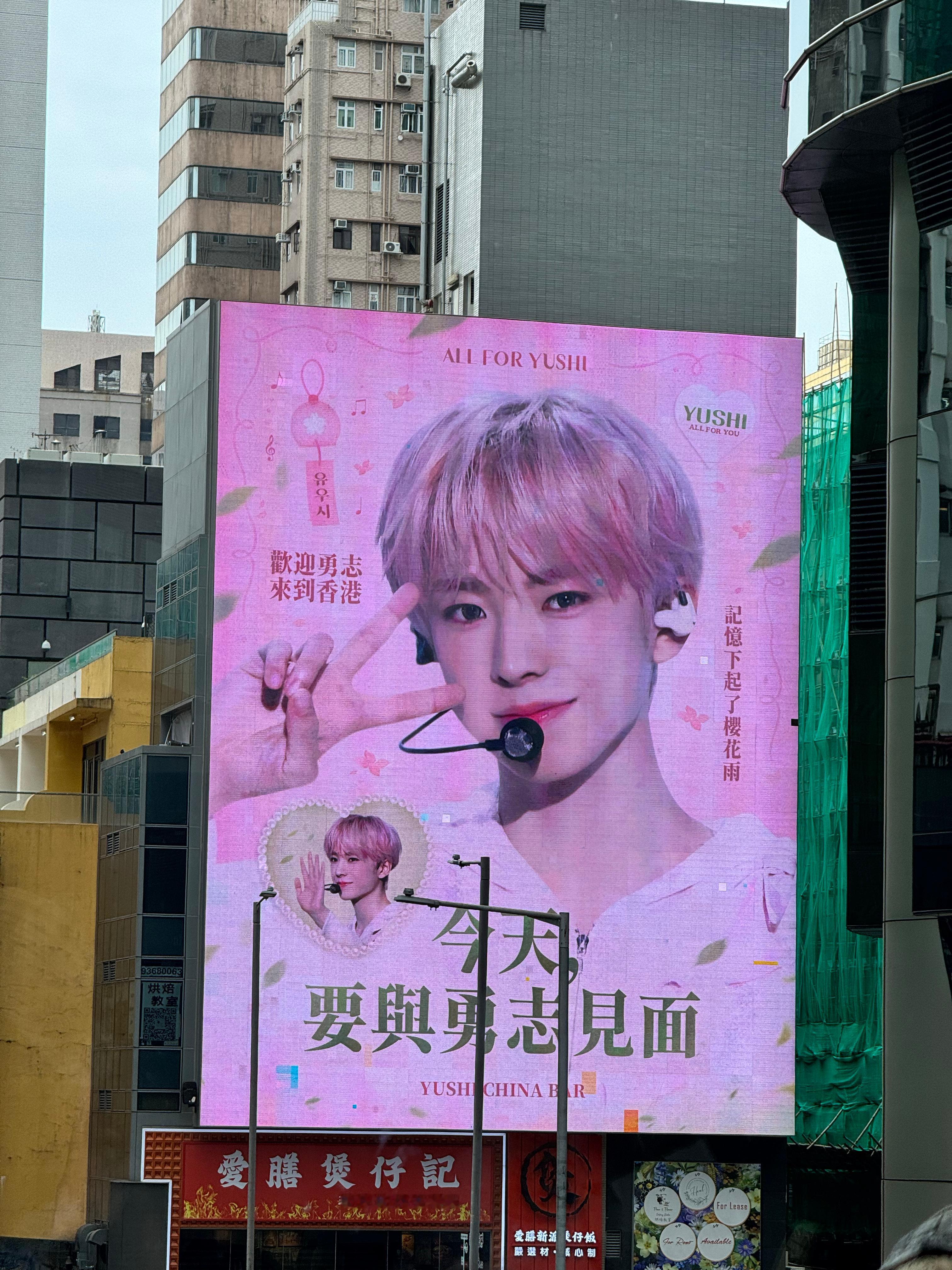 真好看 