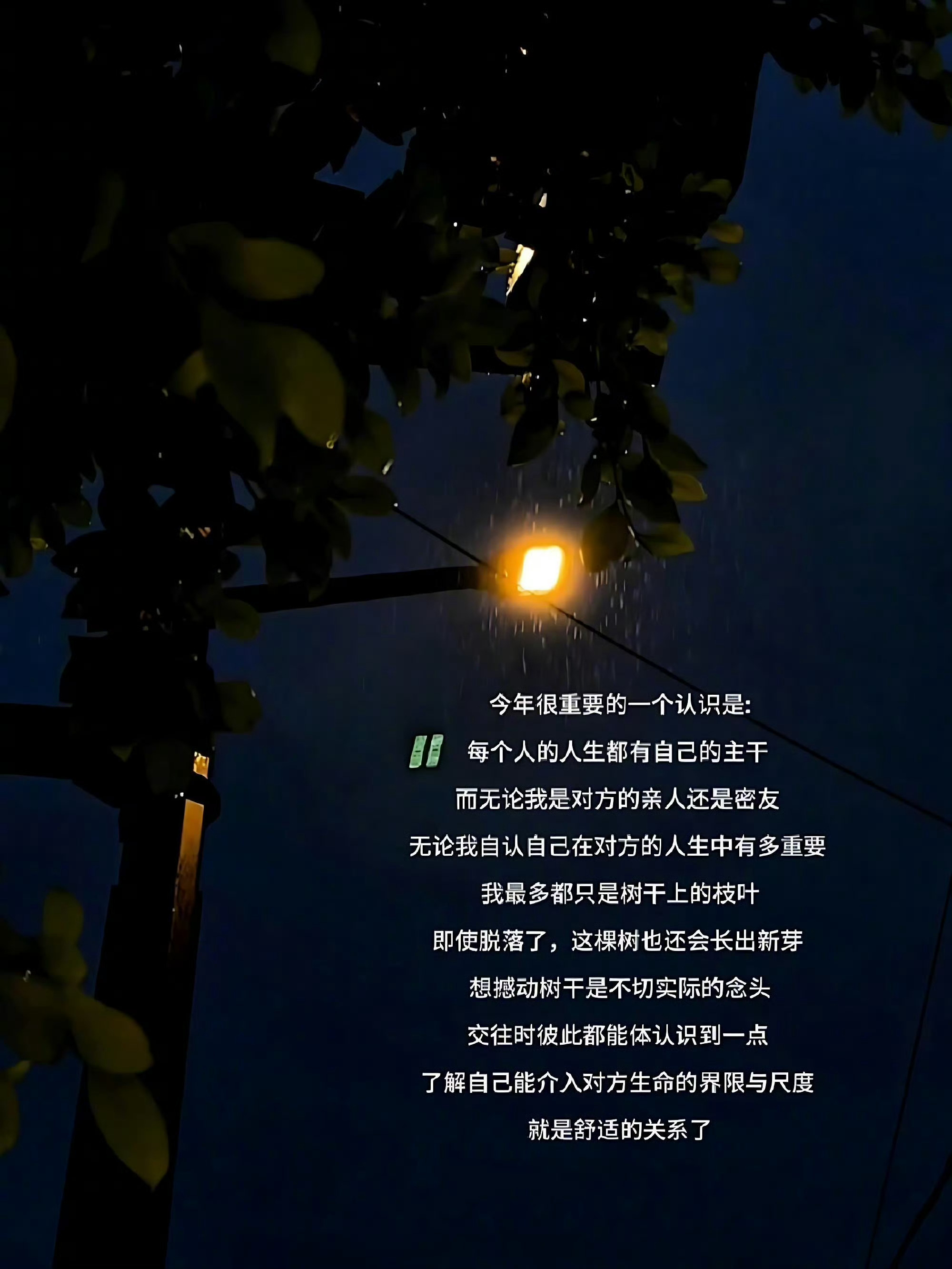 “亲疏有度，远近相安” 