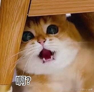 我在吃早饭，给了澜澜半个蛋黄。我爸说他早上已经问他们全部要过了一遍蛋黄，这是第四
