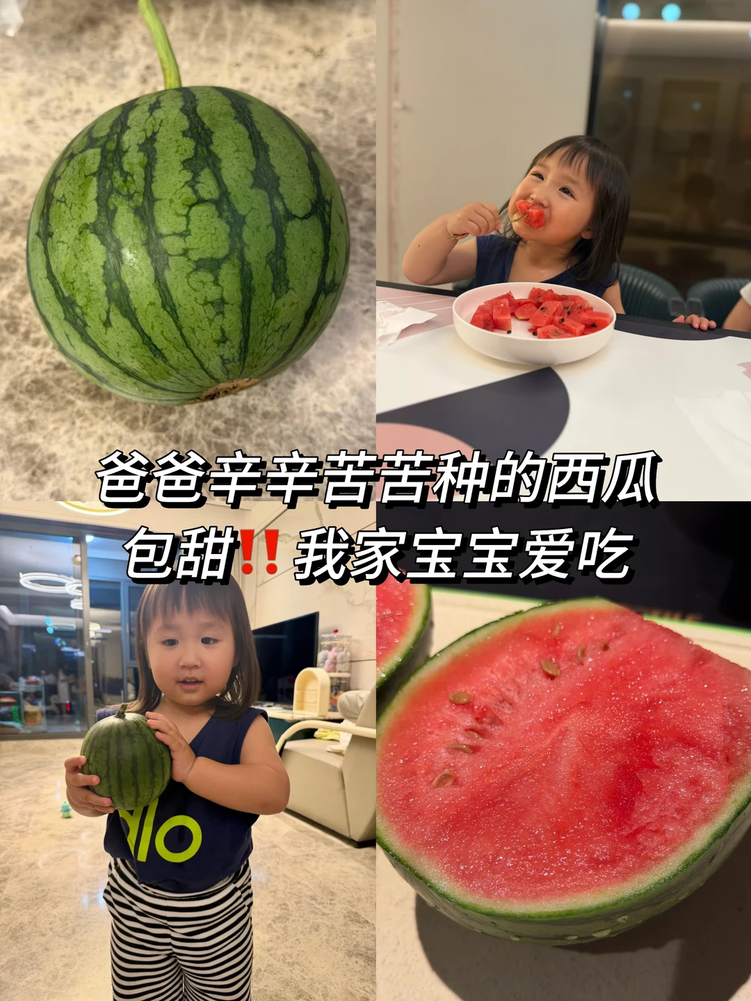 60岁爸爸种的西瓜，他不会直播，我只想帮他