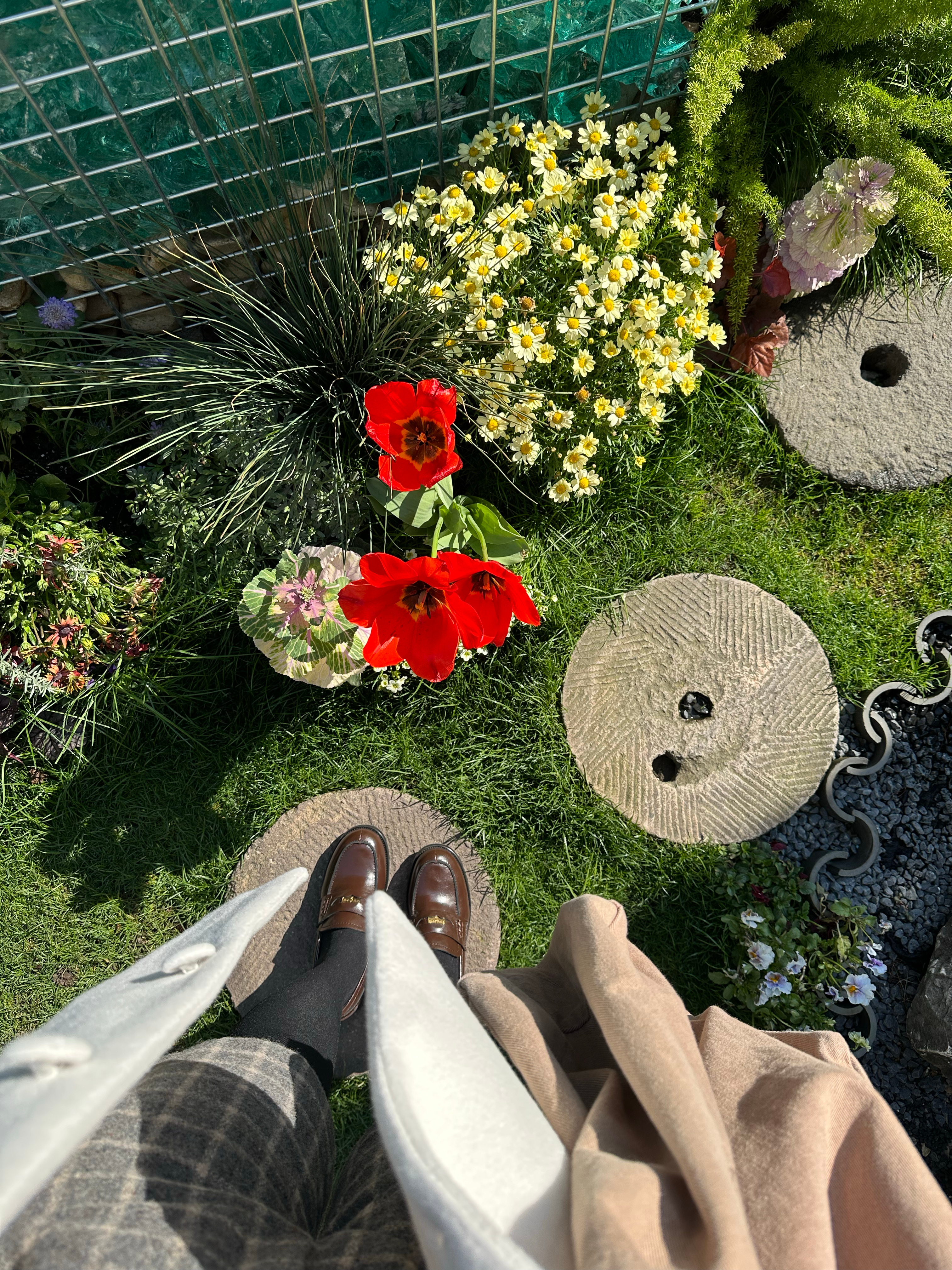 人间三月下江南 🍃  ​​​