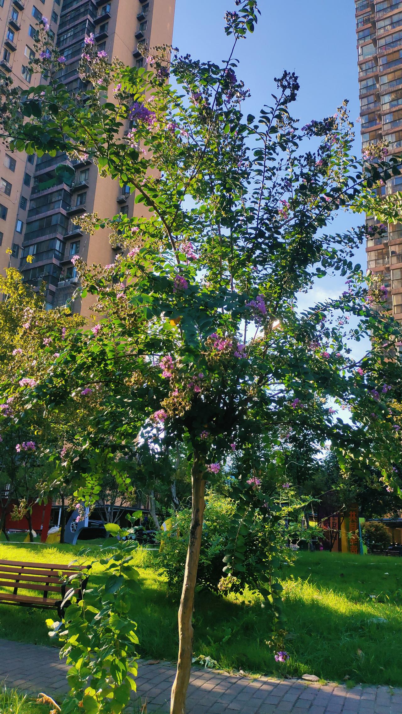四大天王都生了女儿
四大天王之一郭富城，喜迎三胎女儿，前几天晒出了女儿的正脸照。