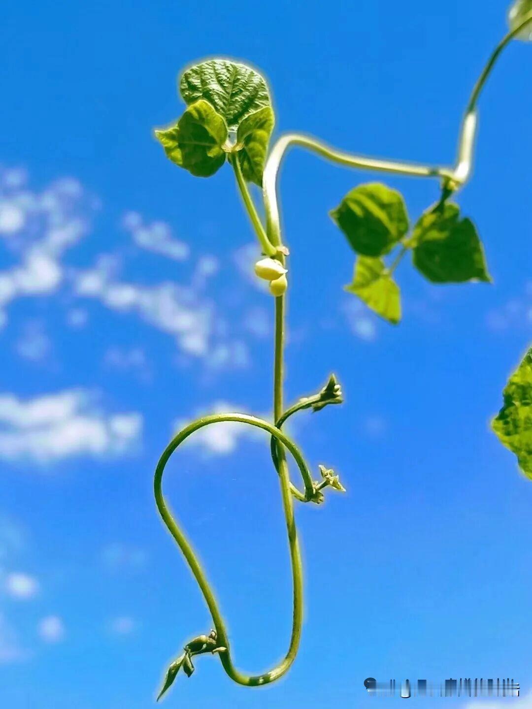 ＃不愿老去，活的可怜
这几天住医院，病房里住满，楼道内都是加床。无论楼道和病房里