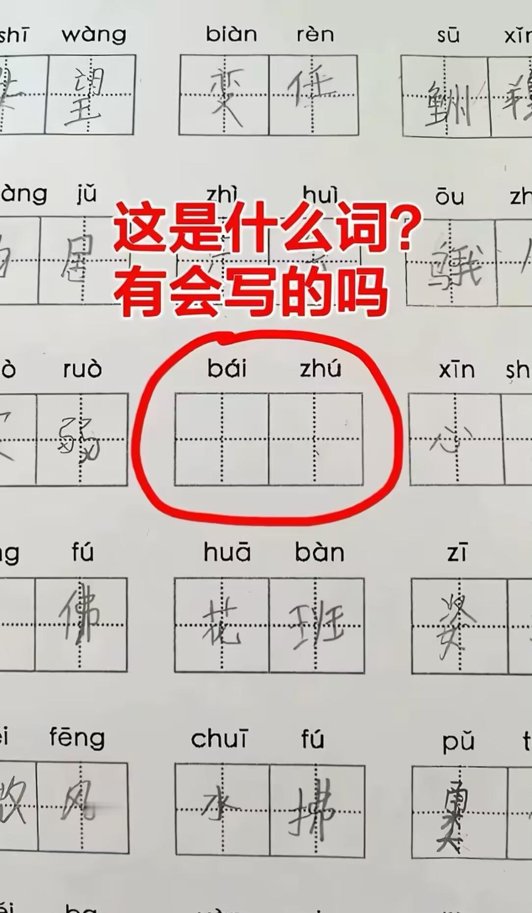 这是什么词语？有会的吗？教孩子明天去问老师，她还不愿意，说必须做出来！