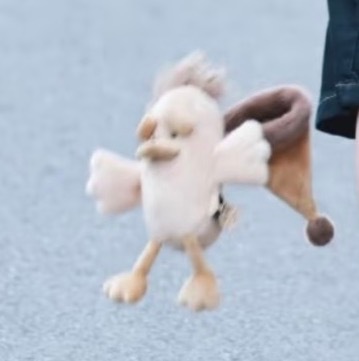 我笑晕了 舒心啊 Dobby is free 