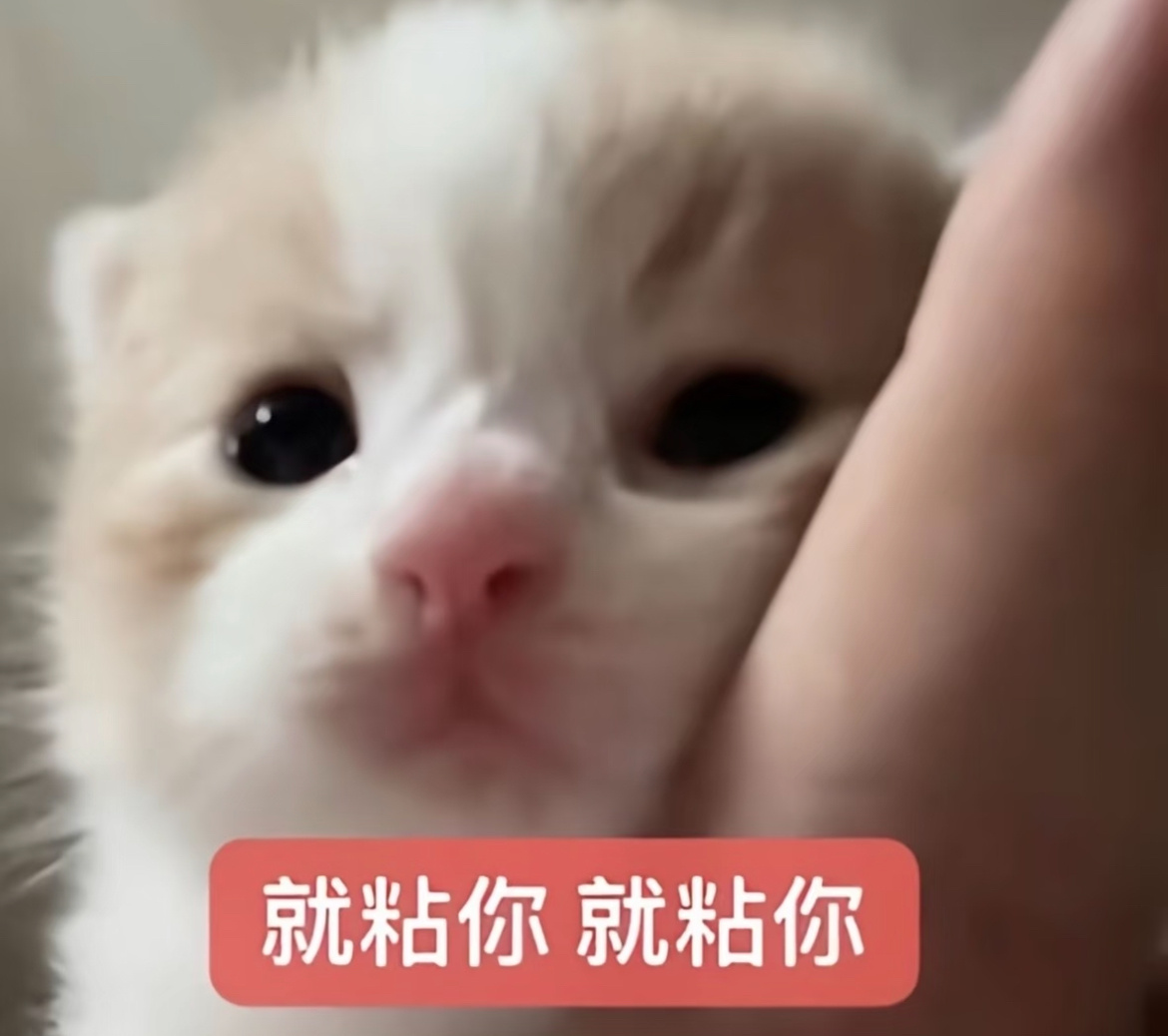今天每次想要抽纸的时候，发现无论怎么样都抽不出来，我纳了闷了，于是打开了手机，你