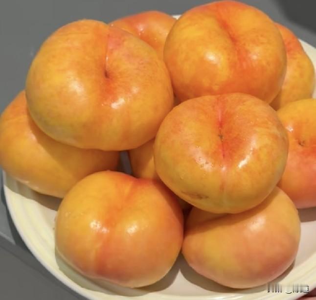 我正吃早饭呢，忽然想起还没看家里监控呢，一看，这都7点半了，院子里楞是没见老身的