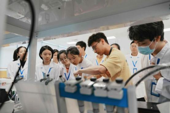 中央最近动真格了，“十五五”规划直接揭开了那层遮掩：全国有5000万大学生，本科