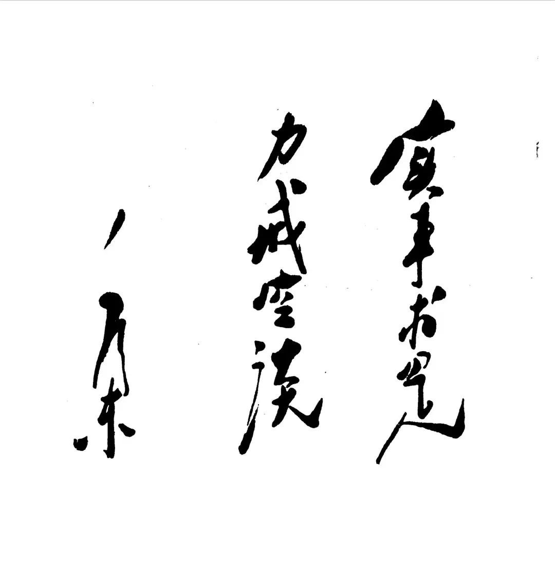 开展解放思想大讨论，要以领袖毛主席“实事求是”的重要指导思想为根本，解放思想、实