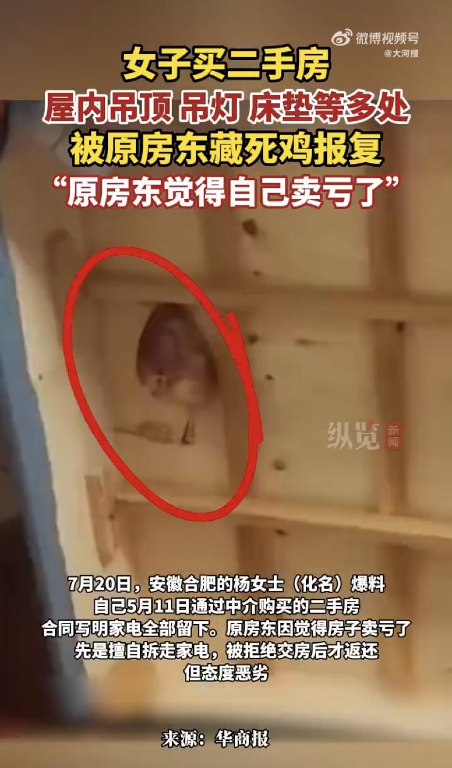 安徽合肥，一女子通过中介买了一套二手房，可就当她满心欢喜的推开房门时，扑面而来的