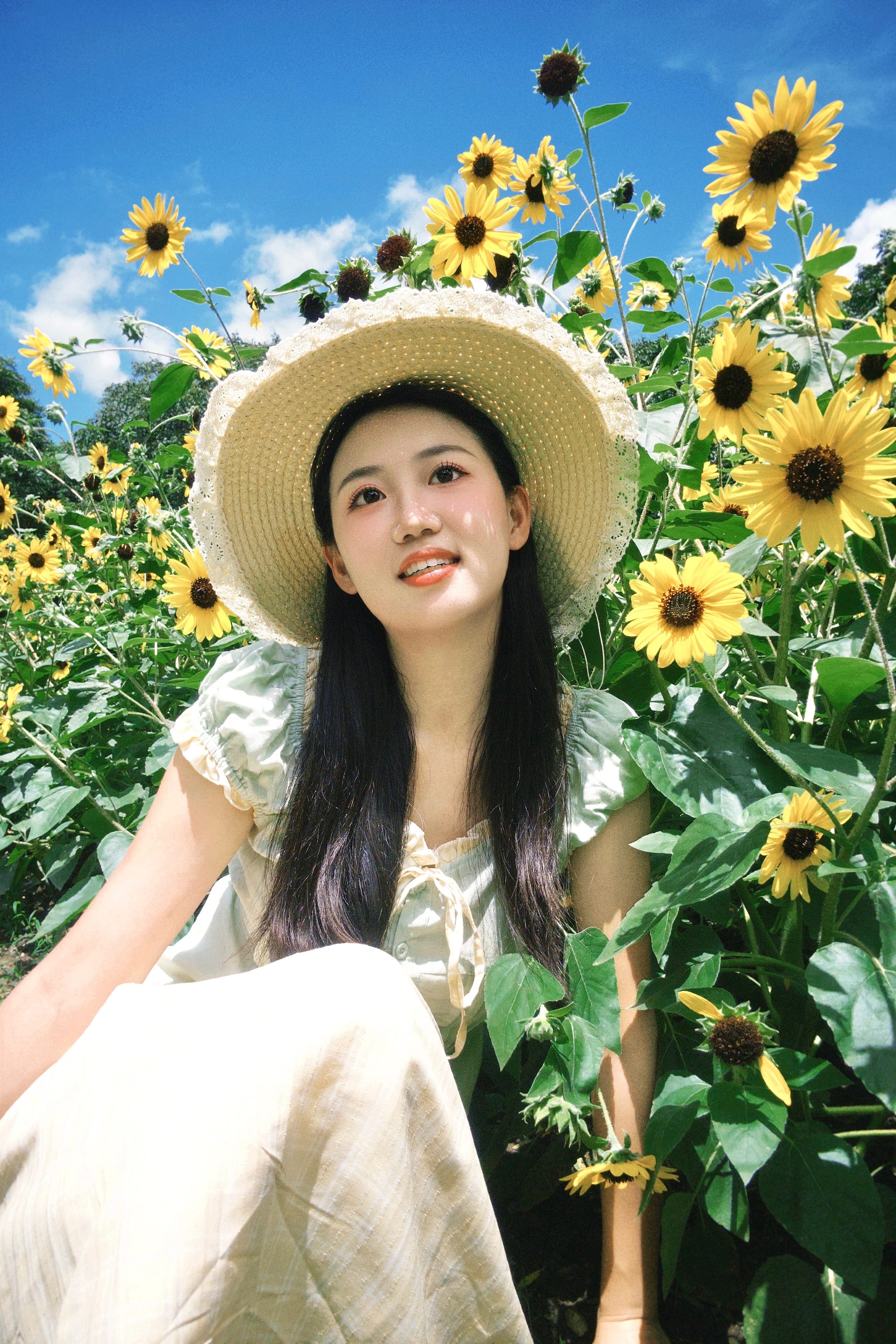 向日葵开啦🌻in 闵行体育公园 上海·闵行体育公园