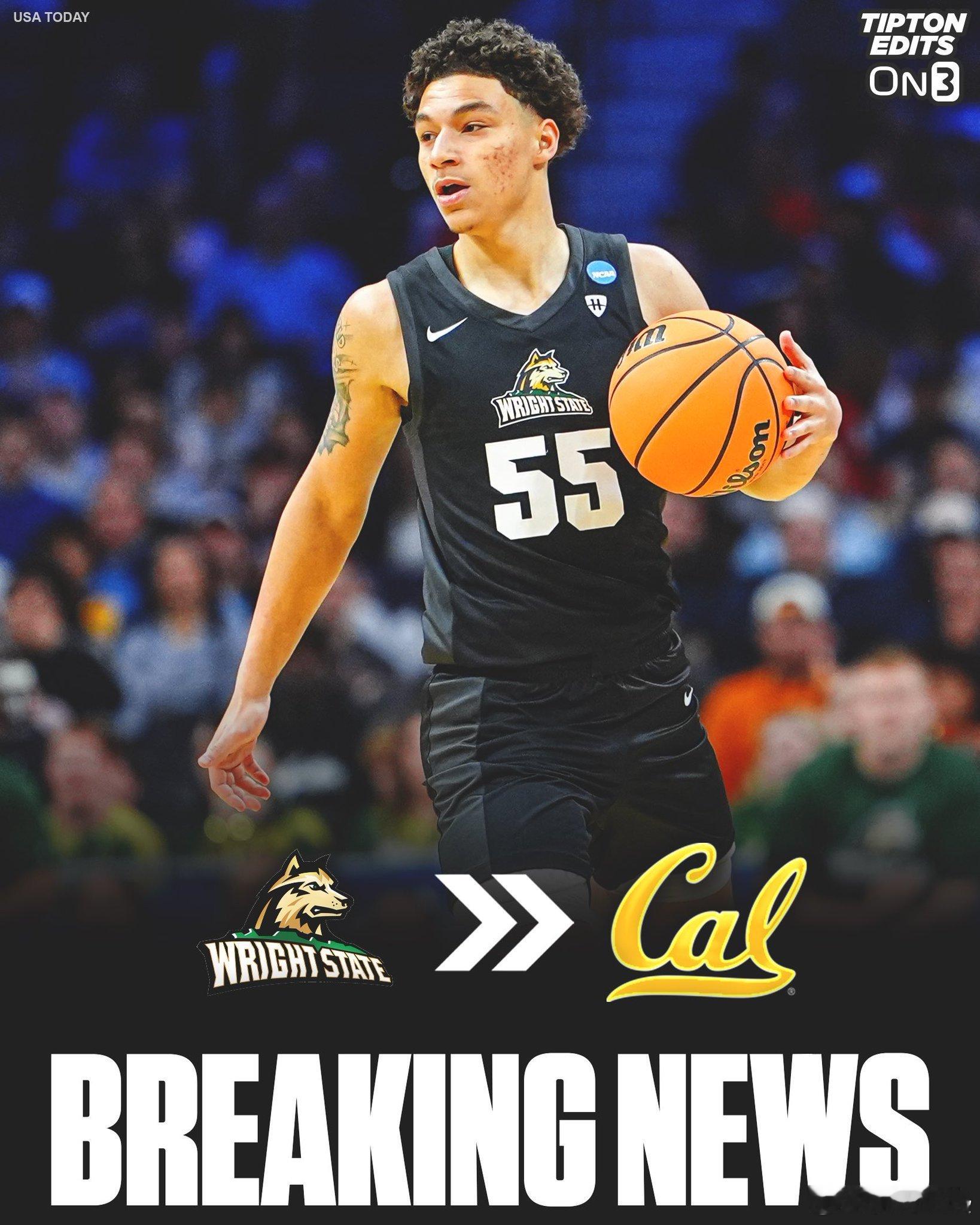 ncaa转学市场 择校Wes Enis（南佛罗里达） ➡️ 克瑞顿Brandin